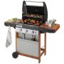 Dujinė kepsninė CAMPINGAZ 3 SERIES WOODY LX2000015632
