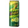 Gaivusis gėrimas Enjoy, žaliųjų citrinų, 0,33 l