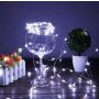 Girlianda XY-BL2-20B, 20 LED, šalta balta, 2 m