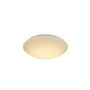 Plafoninis šviestuvas Easylink CL16142-D25, 12W, LED