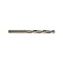 Metalo grąžtas Forte Tools, 2x49 mm
