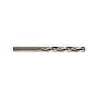 Metalo grąžtas Forte Tools, 4.2x75 mm
