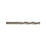 Metalo grąžtas Forte Tools, 12x151 mm