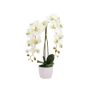 Dirbtinė orchidėja vazone, 65 cm
