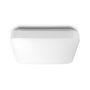 Plafoninis šviestuvas Philips Mauve 3111031P3, 17W, LED