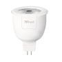 Išmanioji LED lemputė Trust ALED-MR2705