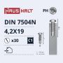 Savisriegiai Haushalt, DIN 7504N, 4.2 x 19 mm, 30 vnt.