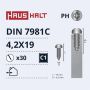 Savisriegiai Haushalt, DIN7981C, 4,2 x 19 mm, 30 vnt.