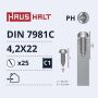 Savisriegiai Haushalt, DIN7981C, 4,2 x 22 mm, 25 vnt.