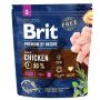 ĖDALAS ŠUNIMS BRIT ADULT S 1 KG