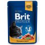 ĖDALAS KATĖMS BRIT SALMON&TROUT 100G