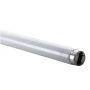 Liuminescencinė lempa Spectrum T8, 36W, G13, 6500K, 3015lm