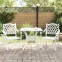 Sodo stalo komplektas 3 pcs Balta Liejamasis aliuminis