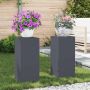 Augalų stovas 2 pcs Antracitas 24 x 24 x 55 cm Plienas