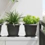 Apvalus gėlių padėklas 6 pcs Juoda Ø 17,5 x 2 cm Plastmasė