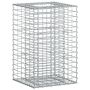 Gabioninė pakelta lova Sidabro 50 x 50 x 80 cm Cinkuota plienas