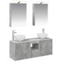 Vonios spintos komplektas 5 pcs Betono pilka 50 x 14,5 x 70 cm