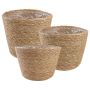 Jūros žolės augalų krepšiai 3 pcs Natūrali Ø26 x 19 cm