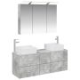 Vonios baldų rinkinys 4 pcs Betono pilka