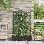Sodo vazonas 2 pcs Ruda 80 x 40 x 125,5 cm Plienas