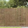 Nendrinių Tvora Natūrali 300 x 180 cm Nendrės