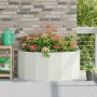 Lovelis Balta 120 x 60 x 50 cm Plienas