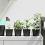 Gėlių vazonas 50 pcs Juoda Ø 15 x 12.5 cm Plastmasė