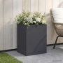 Sodo vazonas Antracito 40 x 30 x 40 cm Šaltai valcuotas plienas
