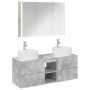 Vonios baldų rinkinys 4 pcs Betono pilka
