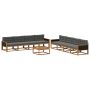 Lauko sofos komplektas su pagalve 9 pcs Natūralus ir antracitas