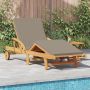 Saulės gultas 2 pcs Taupe 200 x 67 x 84 cm