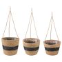 Jūros žolės augalų krepšiai 3 pcs Natūrali ir juoda Ø26 x 19 cm