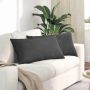 Sofa Pagalvės 2 pcs Tamsiai pilka 80 x 40 cm Kordūrinis audinys