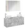Vonios baldų rinkinys 4 pcs Betono pilka