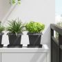 Augalų vazonai 24 pcs Juoda 16 x 16 x 14 cm Plastmasė