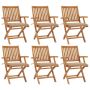 Sulankstomos sodo kėdės su pagalvėlėmis, 6vnt., tikmedis