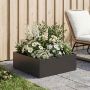 Sodo vazonas Juoda 40 x 40 x 20 cm Šaltai valcuotas plienas
