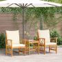 Sodo Sofų Rinkinys su pagalve 3 pcs Natūralus aliejus