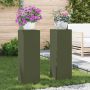 Augalų stovas 2 pcs Alyvuogių žalia 24 x 24 x 75 cm Plienas