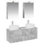 Vonios baldų rinkinys 5 pcs Betono pilka