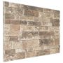 Sienų plokštės 10 pcs Įvairiaspalvis 100 x 50 cm EPS putos