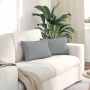 Sofa Pagalvės 2 pcs Šviesiai pilka 50 x 30 cm audinys