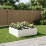 Sodo vazonas Balta 100 x 100 x 20 cm Šaltai valcuotas plienas