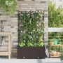 Sodo vazonas 2 pcs Ruda 80 x 40 x 143 cm Plienas