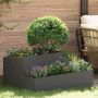 Sodo vazonas Juoda 80 x 80 x 50 cm Šaltai valcuotas plienas
