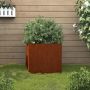 Lovelis, 49x47x46cm, Corten plienas