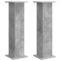 Augalų stovas 2 pcs Betono pilka 30,5 x 30 x 100,5 cm
