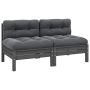 Dvivietė sodo sofa su pagalvėlėmis, pilka, pušies masyvas