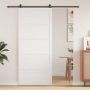 Tvarto durys Balta 100 x 2,5 x 208 cm Pušies medienos masyvas