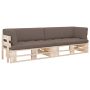 Dvivietė sofa iš palečių su pagalvėlėmis, impregnuota pušis
